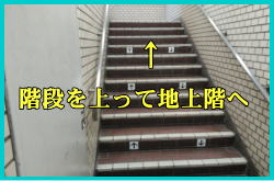 J{WAgقւ̓kł̍s3