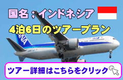 インドネシア・バリ島・ダイビングツアー・個人旅行・少人数